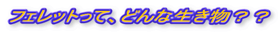 �t�F���b�g���āA�ǂ�Ȑ������H�H