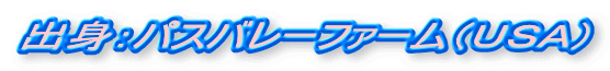 �o�g�F�p�X�o���[�t�@�[���i�t�r�`�j
